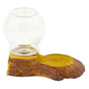 Reptile Amphibians Automatic Waterer Turtle Basin Dish Lizard Water Feeder