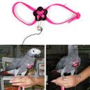 Parrot Adjustable Bird Harness and Leash Anti-bite Multicolor Light Soft  H+