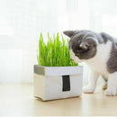 Pet Cat Grass Soilless Culture Growing Kit Cats Stomach Control Planter Hai B4Y5
