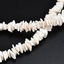 Bohemian White Conch Clam Chips Necklace Collar Choker Beach Charm Jewelry Gifts
