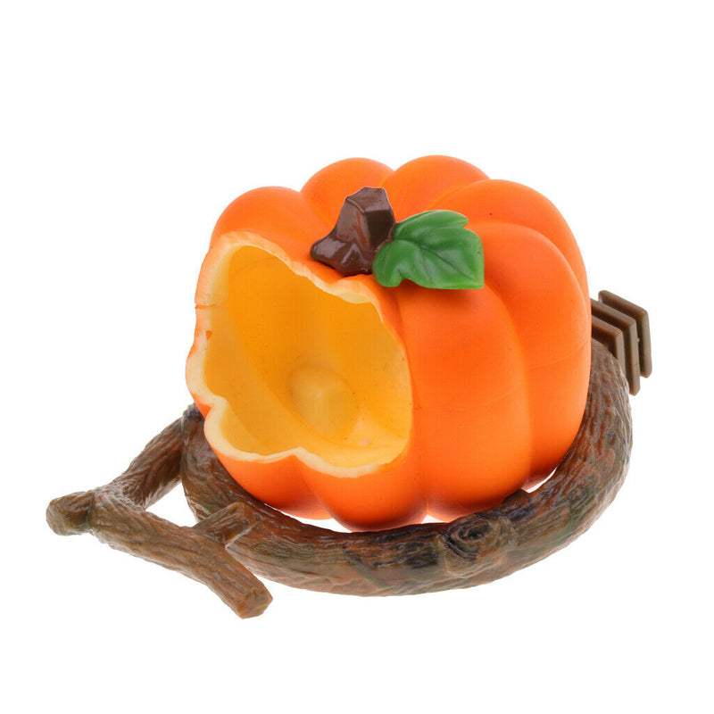 Pet Feeder Food Water Bowl Cups for Bird Parrot Pigeon Finch Pepper/Pumpkin