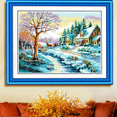 Winter Garden Wonderland Embroidery Kit Precise Printed Needlework Cross Stitch