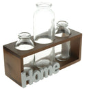 Tabletop Glass Terrarium for Hydroponics Plants Home Decor-3 Bottle