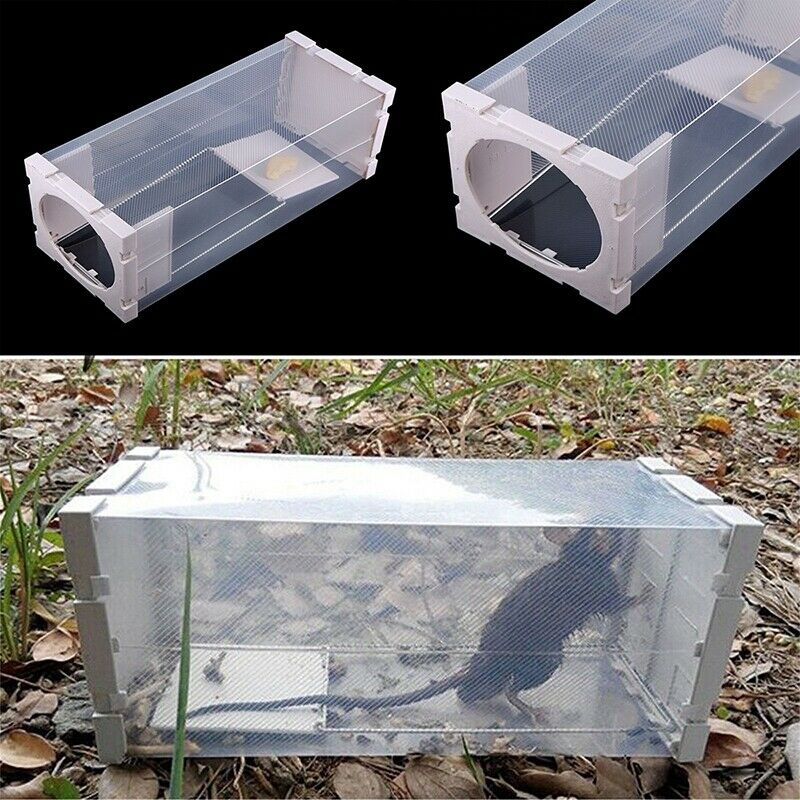 Rat Trap Humane Box Mice Cage Live Catch Mouse Control Bottle