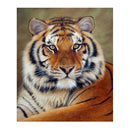 Tiger  5D Diamond DIY Painting  Kit Home Decor Craft(30 X 40cm)