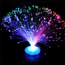 LED Multi Colour Changing Fibre Optic Fountain Night Light Lamp Home DecoratiME