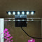 Durable Coral Clip On Fish Tank Lamp For Plants LED Aquarium Light Landscape