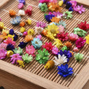200Pcs Dried Flower Head Daisy Glass Cover Nail Art Filling Epoxy Hand Craft DIY