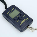 Portable LED 40kg/10g Electronic Hanging Fishing Digital Pocket Hook Scale
