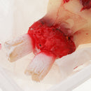 Severed Zombie Hand - Bloody Meal Box Haunted House Halloween Decorations