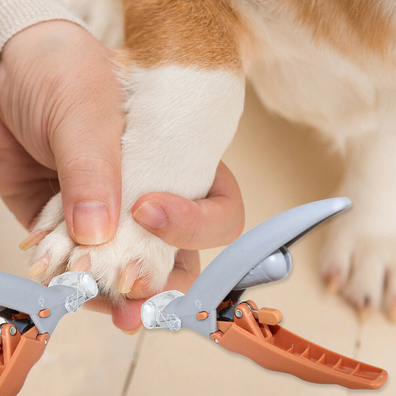 Nail Clippers with LED Light Safety Pet Nail Trimmer 5X Magnifier Nail Grinders