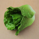 2pc Imitation Vegetables Cabbage& Lettuce Store Cabinet Display Food-