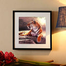 5D DIY Full Drill Diamond Painting Tiger Cross Stitch Mosaic Kit Craft