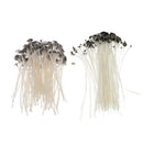 150 Packs Candle Wick Pre Waxed Candle Making with Sustainers Cotton 15/10cm
