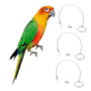 3x Parrot Stainless Steel Eight Rings Anklet Animal Bird Cockatiel