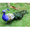 Vivid Artificial Peacock Bird Realistic Taxidermy Home Garden Yard