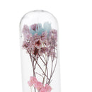 Glass Display Cloche Jar Dome Flower Immortal Preservation Vase Ornament