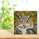 Gloryart 5D DIY Full Drill Diamond Painting Owl Embroidery Crafts (lw016)