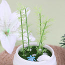 1pc bamboo fairy garden miniatures micro landscape plastic crafts garden decorJR