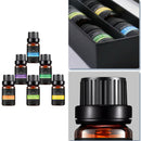 6 Pack Essential Oil Set 100% Pure Natural Aroma Therapeutic Grade Oils Lo NUT