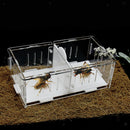 Reptile  Box Amphibian Feeding Container for Spider  Chameleon