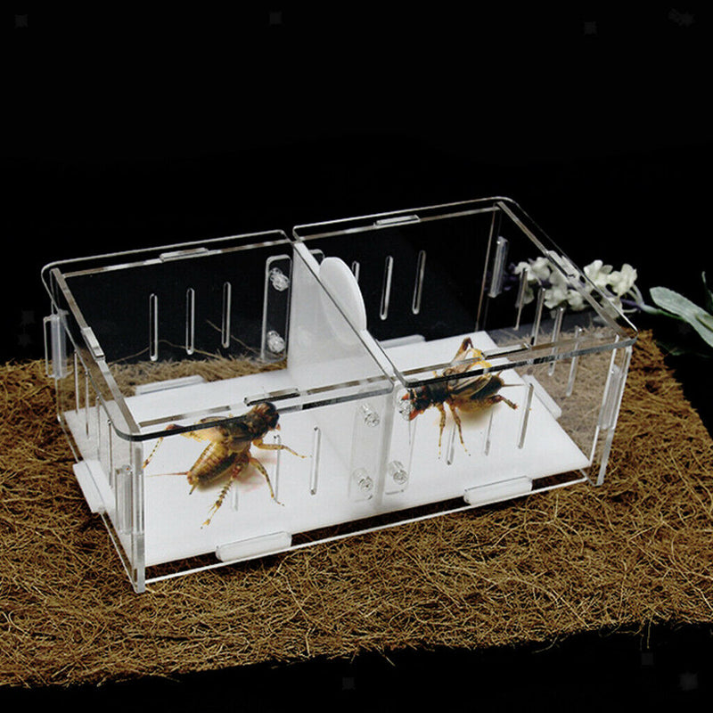 Reptile  Box Amphibian Feeding Container for Spider  Chameleon