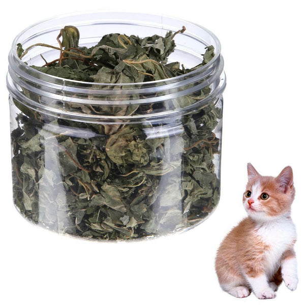 300ml Anti Calculi Natural Catnip Mint Leaves Grass Menthol Flavor Cat Toys Gift