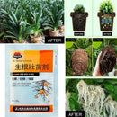 Plant fast rooting powder strong germination aid rapid Hot growth K0Q8
