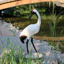 Garden Bird Ornament Realistic Red-crowned Crane Animal Outdoor Statue NEW