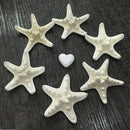 2pcs Natural Starfish Sea Star shell Making DIY Craft Decor S1H3