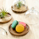 1 Pcs Japanese Dessert Display Plate Birthday Anniversary Celebration New