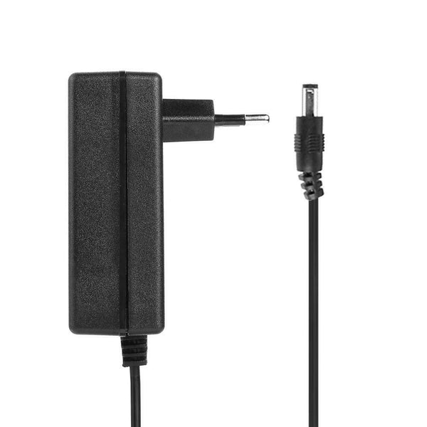 21V 2A 18650 Lithium Battery Charger DC5.5mm Power Adapter Charger (EU)
