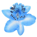 New Bridal Wedding Orchid Flower Hair Clip Barrette Women Girls Accessories