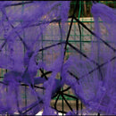 Halloween Spider Web Props Home Party Bar Decoration Stretchy Cobweb Spider Z3V9