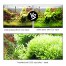 DIY CO2 Generator System Aquarium Water Plant Necessity Diffuser