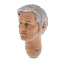 1/6 Scale Realistic Assange Head Sculpt for HT,   , PHICEN, PH, TBLeague Male