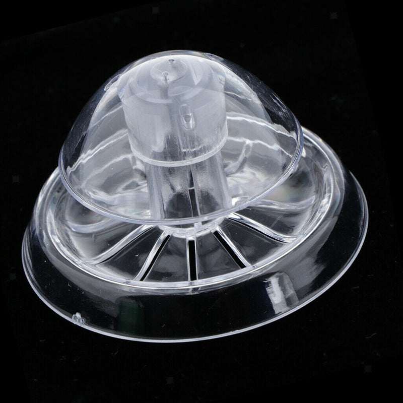 Acrylic Planaria Trap Snail Worm Catching Box Shrimp