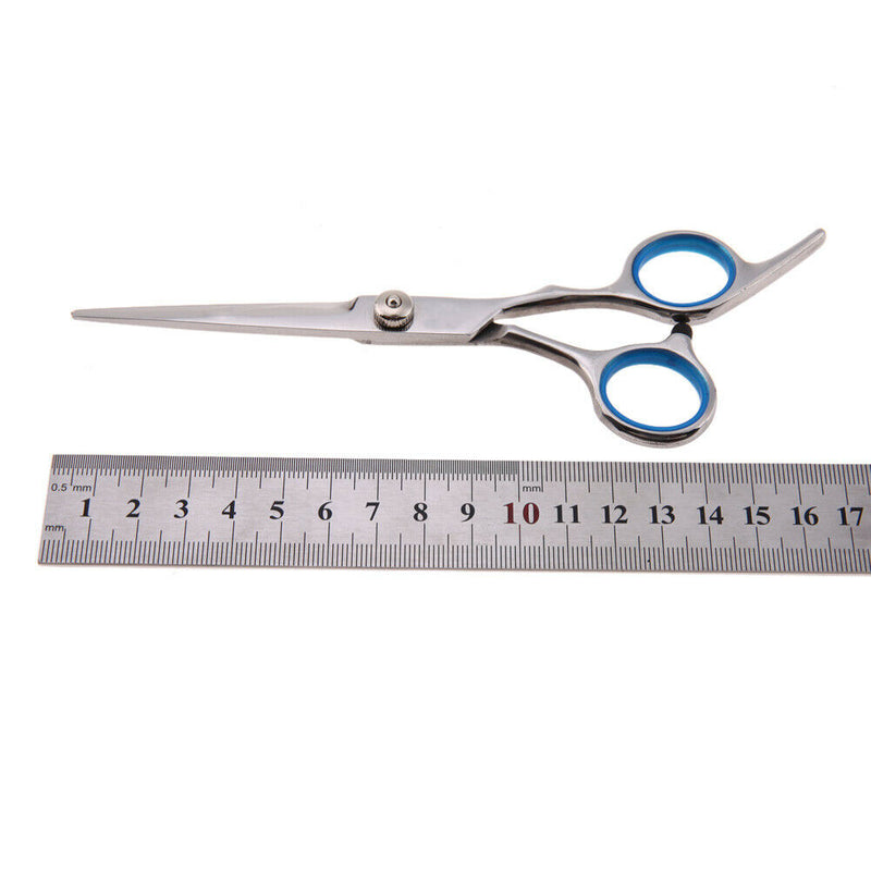 Professional Pet Dog Stainless Steel Grooming Hair Scissor Straight Scissor