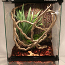 3.2ft/100cm Small Jungle Vines DIY Decor for Reptiles and Amphibians with