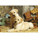 5D DIY Full Drill Diamond Painting Dogs Cross Stitch Embroidery Mosaic Kit