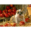 Dog 5D DIY Diamond Painting Full Square Drill Cross Stitch Art Gift (JF170) A