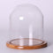 Glass Display Bell Jar Dome Cloche With Bamboo Base Decorative Desk Stand S
