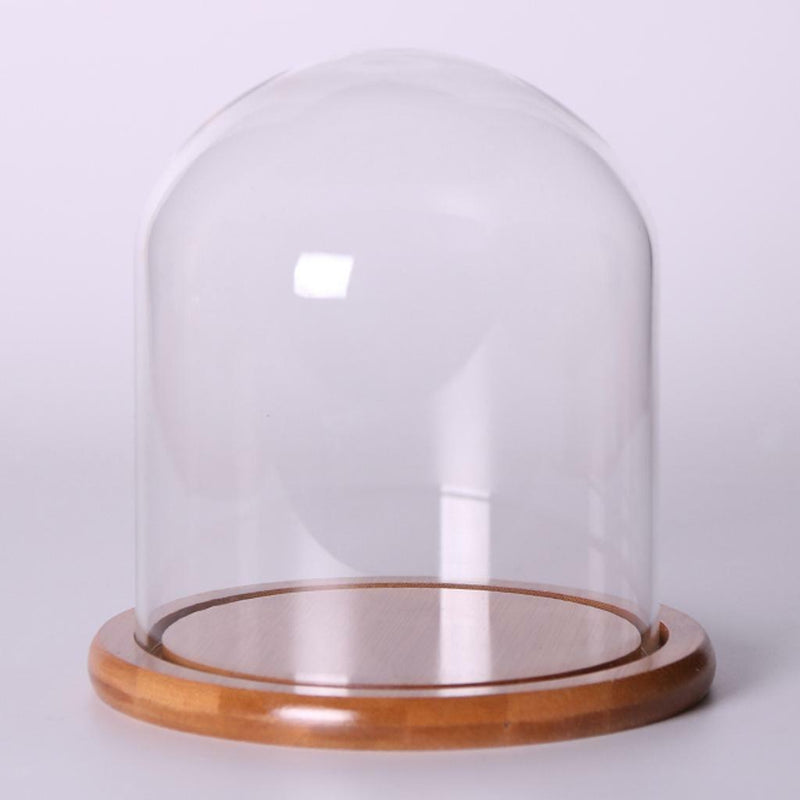 Glass Display Bell Jar Dome Cloche With Bamboo Base Decorative Desk Stand S
