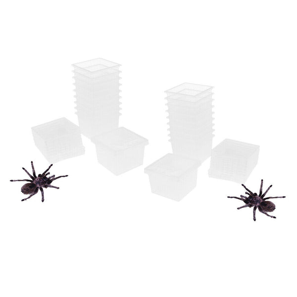 20 Pcs Plastic Feeding Box Pet Insect Reptile Breeding Cage Hatching Container