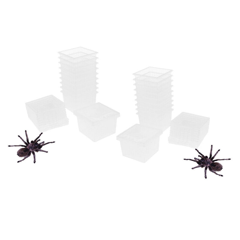 20 Pcs Plastic Feeding Box Pet Insect Reptile Breeding Cage Hatching Container