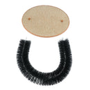 Gentle Fur Brushing for Cat Kitten Playing And Scratching