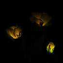 Solar LED Rose Flower Lights Garden Outdoor Landscape Rose Light Decorative