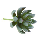 Artificial Cactus Plants Unpotted Plastic Succulent Cactus Home Plant