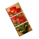 3 Panels/set Art Canvas Wall Decorative Red Tulip Print Painting Set 30*50cm