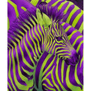 5D DIY Full Drill Diamond Painting Cross Stitch Embroidery Mosaic (Zebra03)